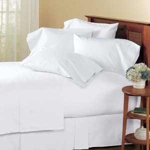 Image #1 of Solid White 450