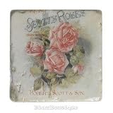 Scott's Roses Tile Cork-Backed Coaster