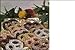 Pretzel Passions w/o Champagne - Bits and Pieces Gift Store Image