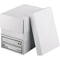 Kopierpapier NoName/05421590802920502 DIN A3 wei� 80 g/qm Inh.500