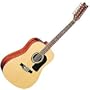 Washburn D10 Series 12 String Acoustic Guitar