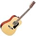 Washburn D10 Series 12 String Acoustic Guitar
