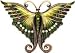 Green Butterfly Jewelry Box