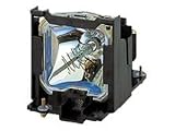 Panasonic ET LAD7700LW - Projector lamp (pack of 2 )