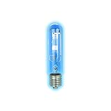 E40 Ampoules sp&eacute;ciales / Ampoules : Luminaires