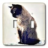 Cats - Siamese Cat - Light Switch Covers - double toggle switch