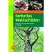 Farbatlas Waldsch�den: Diagnose von Baumkrankheiten