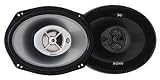 Sony Xplod Car Audio Speakers XS-F6934