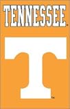Tennessee Volunteers 28x44 Applique Banner Flag - College Athletics Sports Merchandise