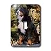 Dogs Bernese Mountain Dog - Bernese Mountain Dog - Light Switch Covers - single toggle switch