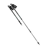 Easton ATR-75 Ion Aluminum Trekking Poles 2012