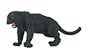 Vanishing Wildlife- Black Jaguar