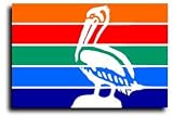 St. Petersburg US City Flags