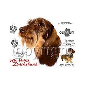 Dachshunds T-Shirts