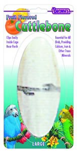 Childrens Toyshop  Pet Supplies : FM Browns Citrus Flavored Cuttlebone Large Carded