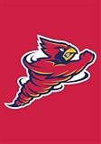 Iowa State Cyclones Mini Garden Window Flag 15x10.5 NCAA College Athletics Fan Shop Sports Team Merchandise