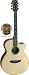 Acoustic Guitar - Faith Hi-gloss Range - Venus Cutaway - Sha