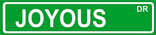 Novelty JOYOUS street sign 4″x18″ aluminum wall art décor