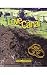 Books : Love Canal (Great Disasters, Reforms and Ramifications)