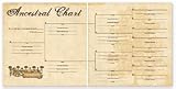314ODvXYSBL. SL160  Paper Loft For The Record Double Sided Cardstock 12X12 Genealogy Ancestral Chart; 25 Items/Order
