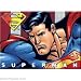Search : DC Comics Superman With Flag Magnet 25491DC