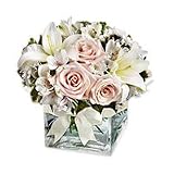 Flowers - Sugar Cube