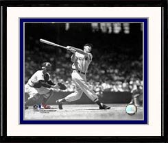 Boston Red Sox Ted Williams Framed Photo