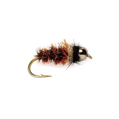 Th Cased Caddis