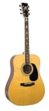 Recording King Gospel Songstress Acoustic Dreadnaught Guitar (Mahogany)