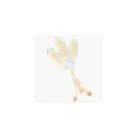 Rock Candy Sticks White