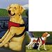 Four Paws Small Safety Seat Vest Harness