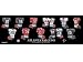 Atlanta Falcons 10 x 30 Uniform History Plaque