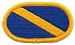 101st Division Aviation Brigade Army Oval Patch