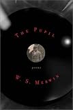The Pupil