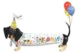 Hot Diggity Dog Happy Birthday Dog
