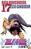 BLEACH―ブリーチ― 17 (ジャンプ・コミックス)