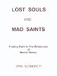 Lost Souls And Mad Saints