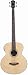 J Reynolds JR1000 4-String Acoustic-Electric Bass Guitar