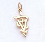 Veterinarian Charm In 14kt Gold