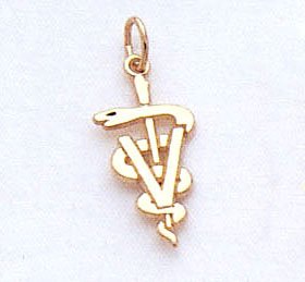 Veterinarian Charm In 14kt Gold