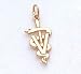 Veterinarian Charm In 14kt Gold
