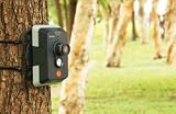 BirdWatchCam(バードウォッチカム)