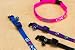 Pet Supplies : 811Glo 3/8Adj Brk-Way Clr Pu