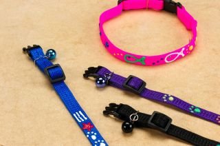 Adj Breakaway Safe Glo Collar - 811 Sqglo Pwshp - Bci