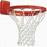 Rear Mount Double-Rim Goal (EA)