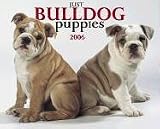 Just Bulldog Puppies 2006 Calendar (Just)