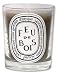 Diptyque Feu de Bois (Firewood) Candle 6.5 oz candle