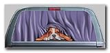 Rear Window Graphic, Curtain Raiser