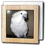 Umbrella Cockatoo - 6 Inch Tile Napkin Holder