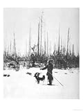 Kulik Stands Near a Section of Upright Charred Trees Southern Swamp Tunguska Education Photographic Poster Print, 18x24